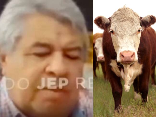 Benito Osorio y ganado. Foto: JEP / Getty Images