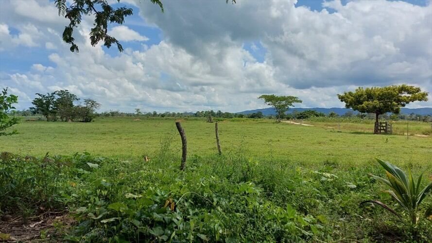 Unidad de Restitución de Tierras intervendrá zonas en el sur de Córdoba y Bajo Cauca antioqueño. Foto: Referencia