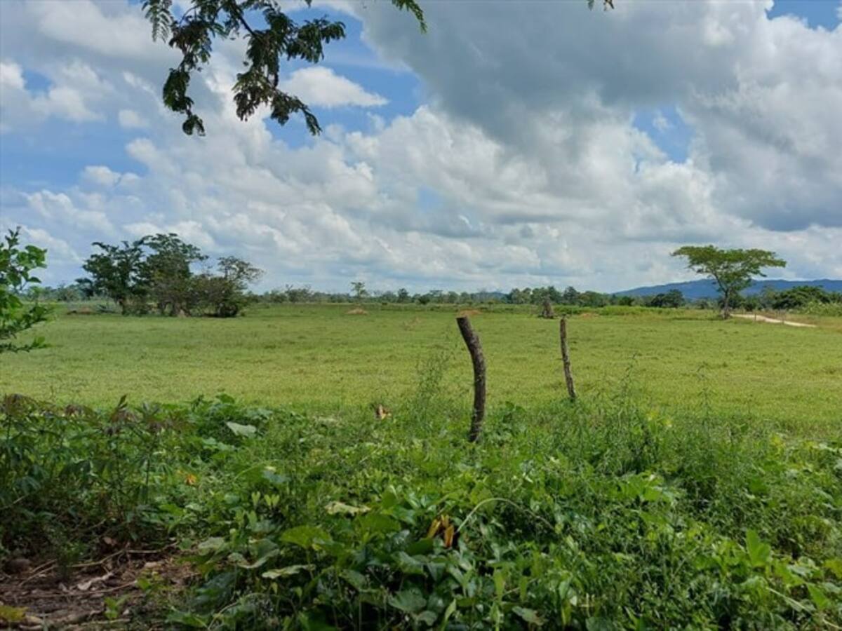 Unidad de Restitución de Tierras intervendrá zonas en el sur de Córdoba y Bajo Cauca
