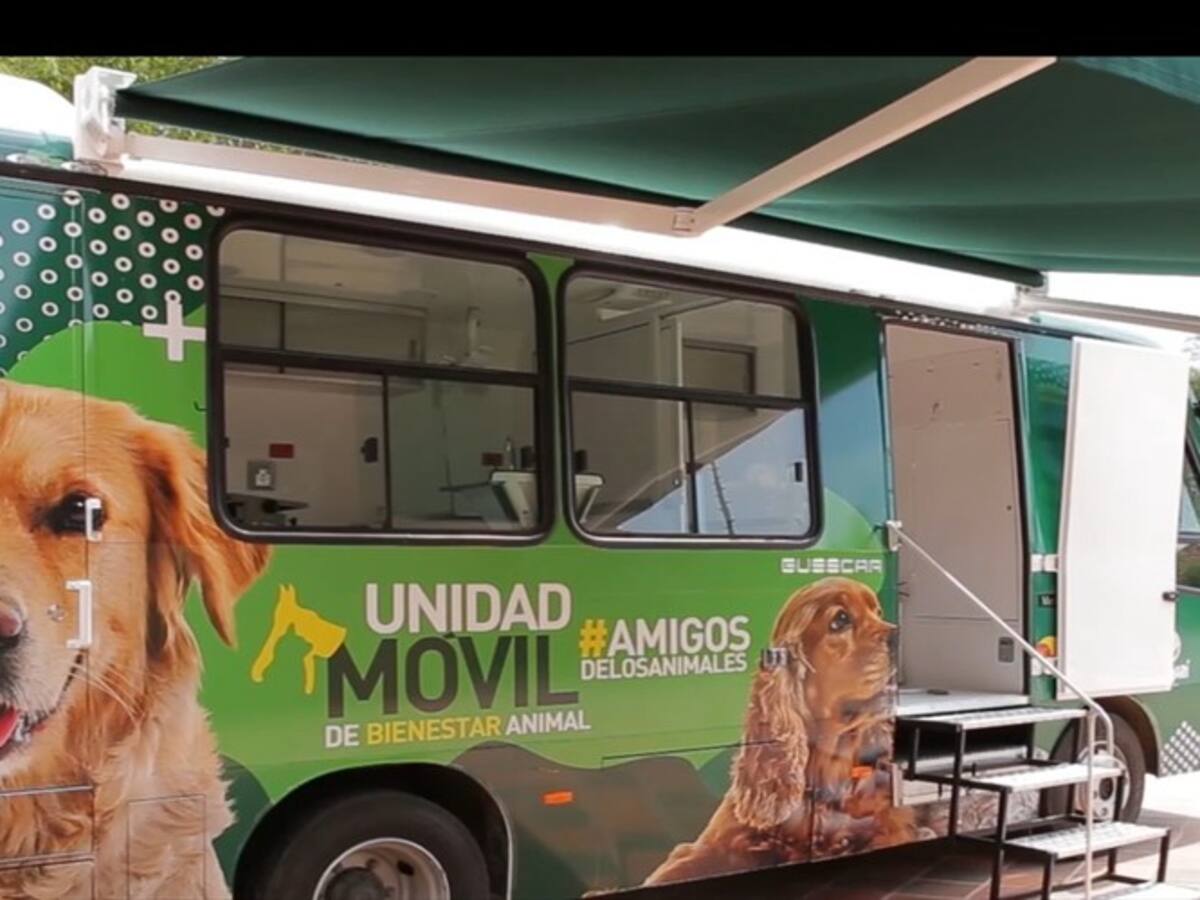 Pereira, ciudad pionera en bienestar animal