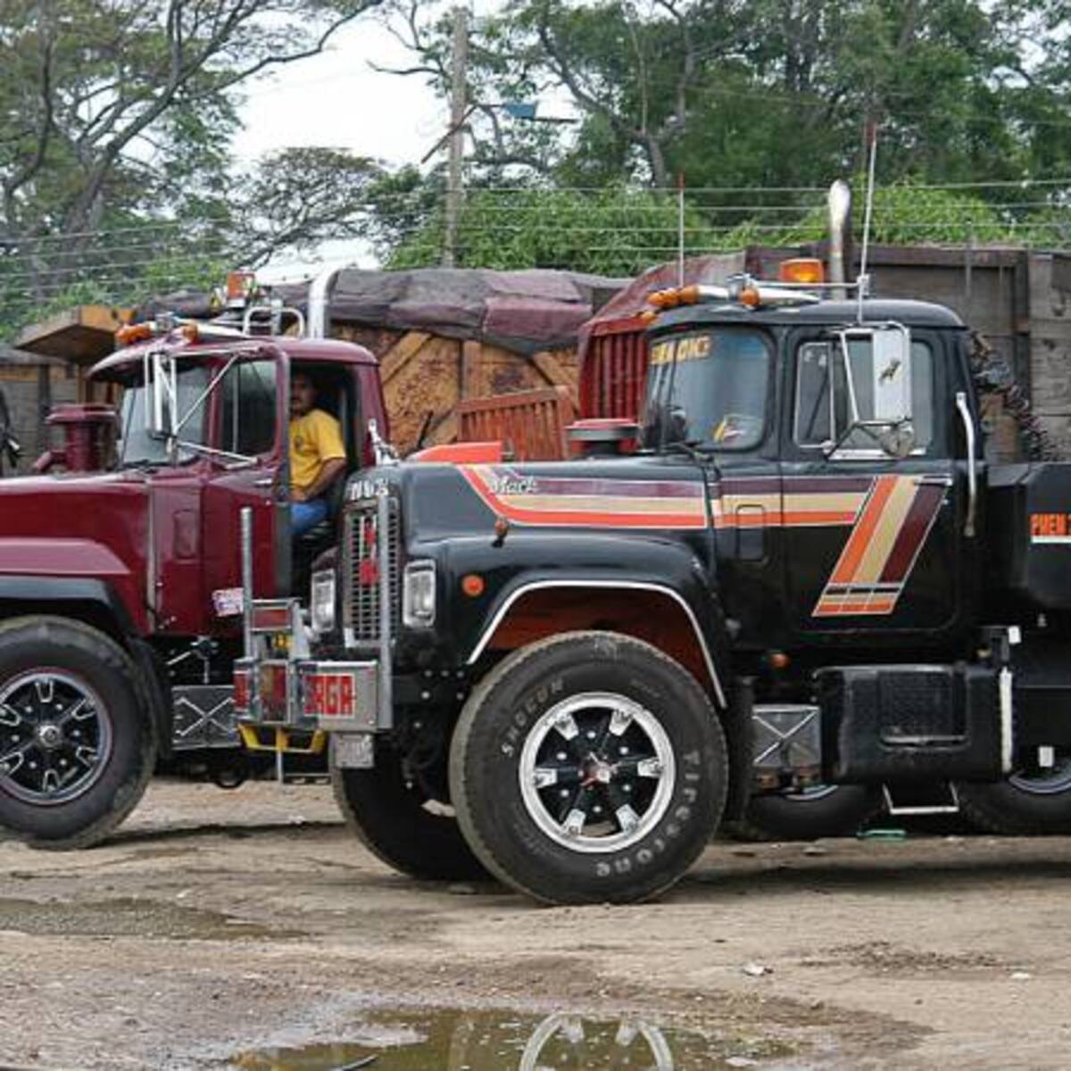 Se amplió plazo para que camioneros normalicen o aclaren matrículas de sus vehículos