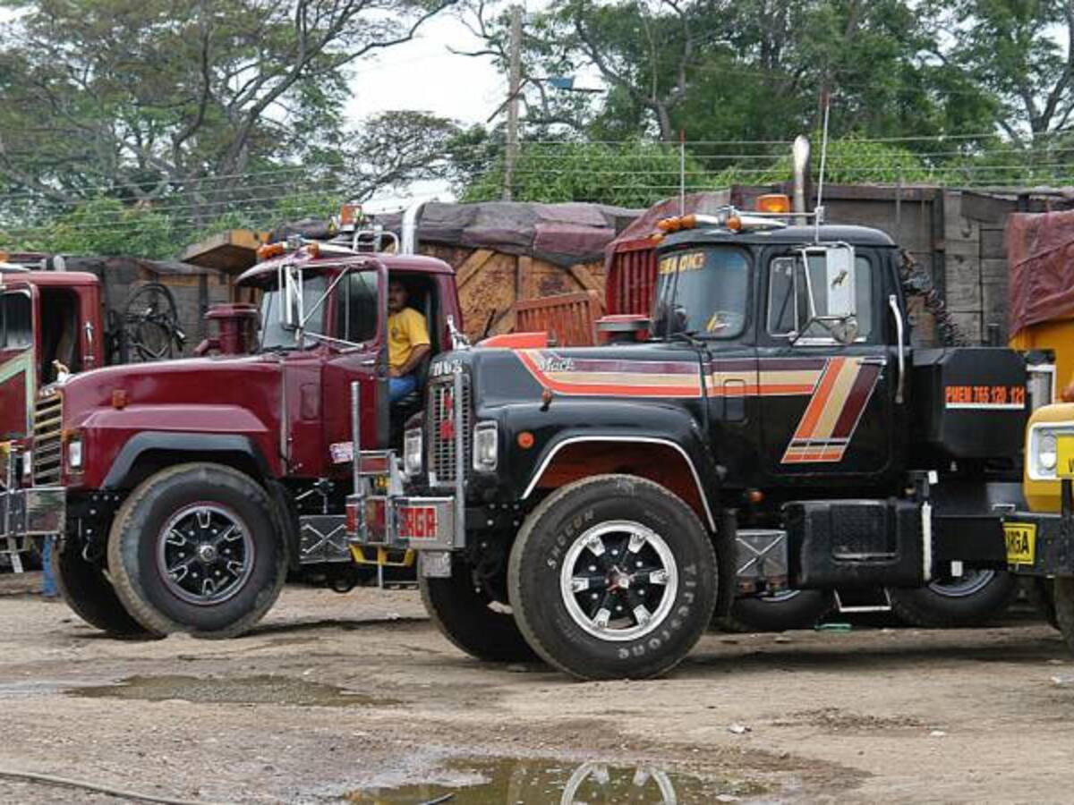 Se amplió plazo para que camioneros normalicen o aclaren matrículas de sus vehículos
