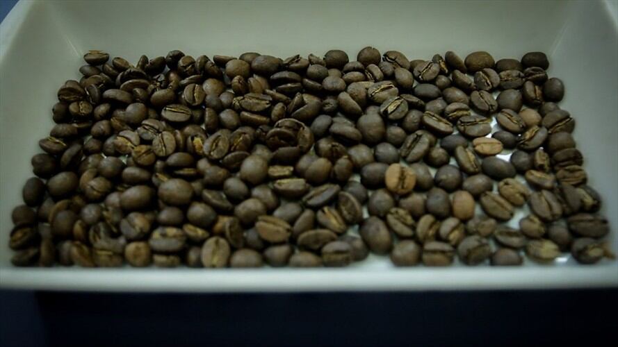 Cafeteros reportaron fuerte caída en la producción del grano para abril. Foto: Colprensa