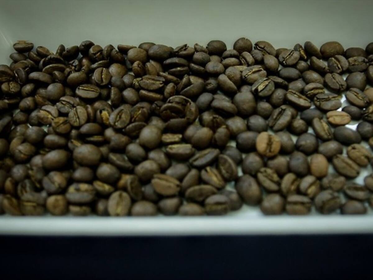 Cafeteros reportaron fuerte caída en la producción del grano en abril