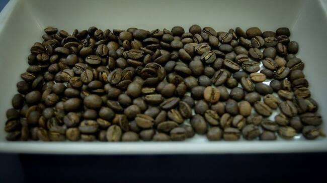 Cafeteros reportaron fuerte caída en la producción del grano para abril. Foto: Colprensa