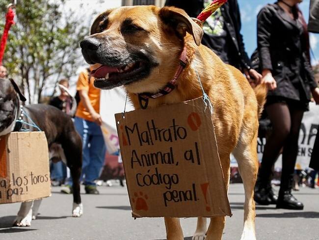 Esta es la historia del perro empalado