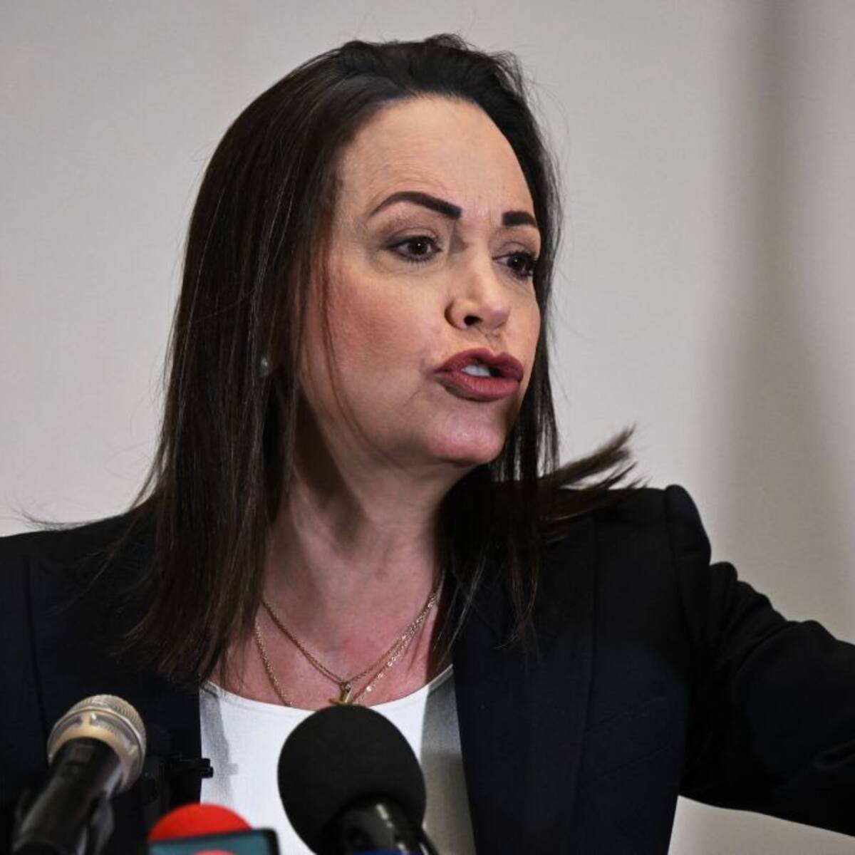 “Es algo irreversible”: opositora María Corina Machado sobre elecciones en Venezuela