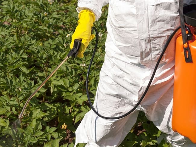 Establecen 0% de arancel a importaciones de plaguicidas y fertilizantes. Foto: Getty Images
