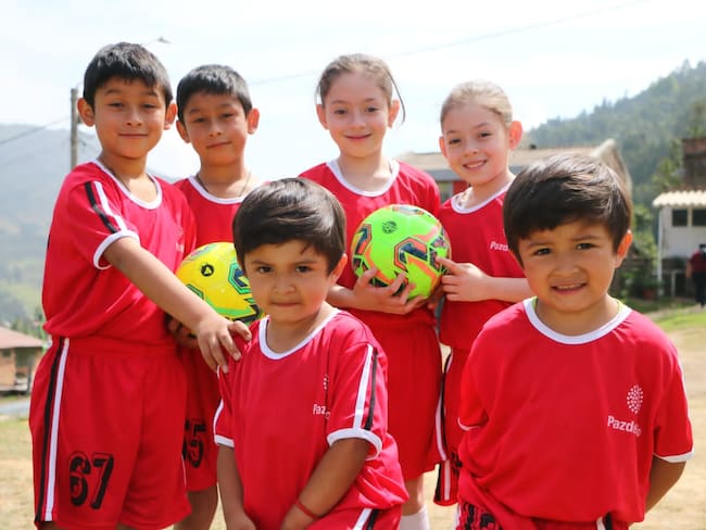 Cortesía : Acerías Paz del Río