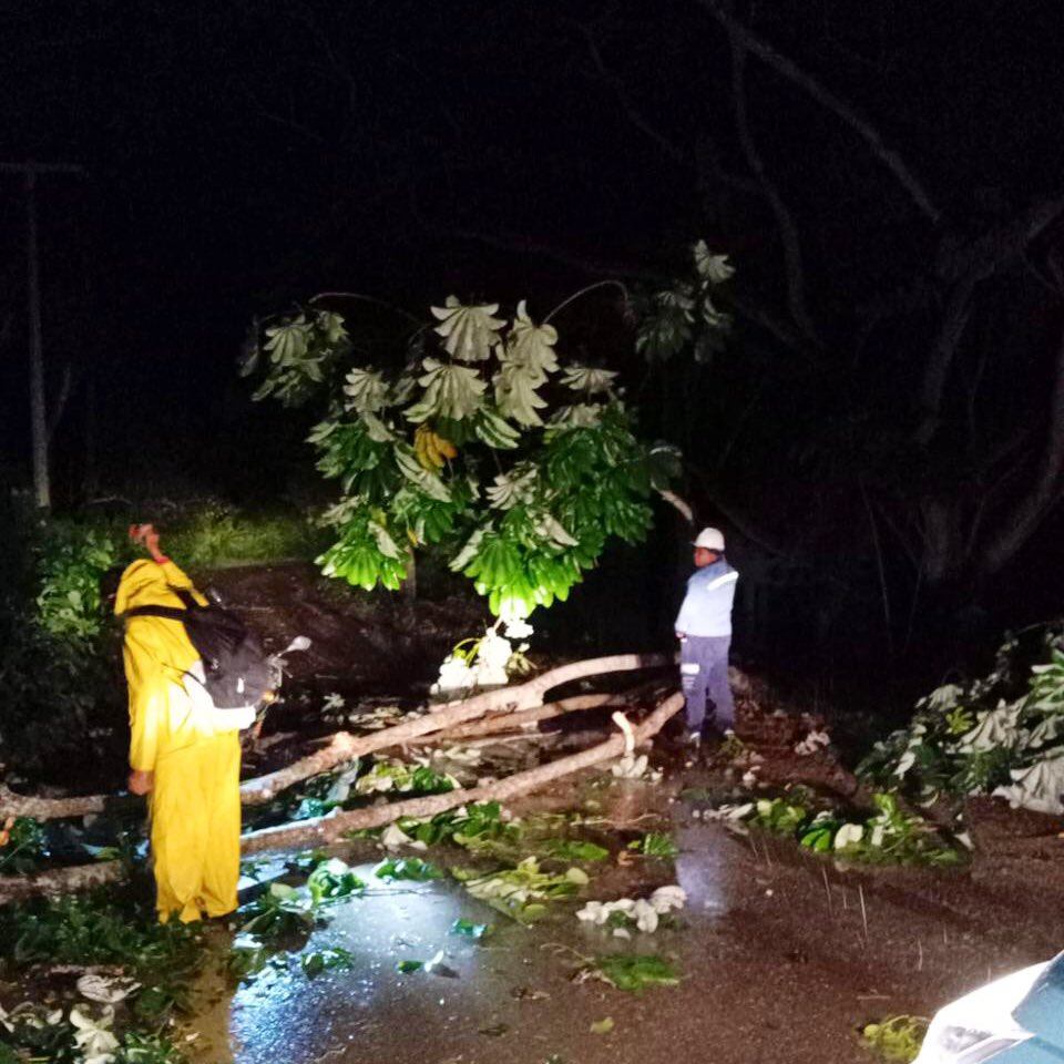 Una mujer herida, viviendas destechadas y municipios sin fluido eléctrico dejó vendaval en Sucre. Foto: prensa Afinia.