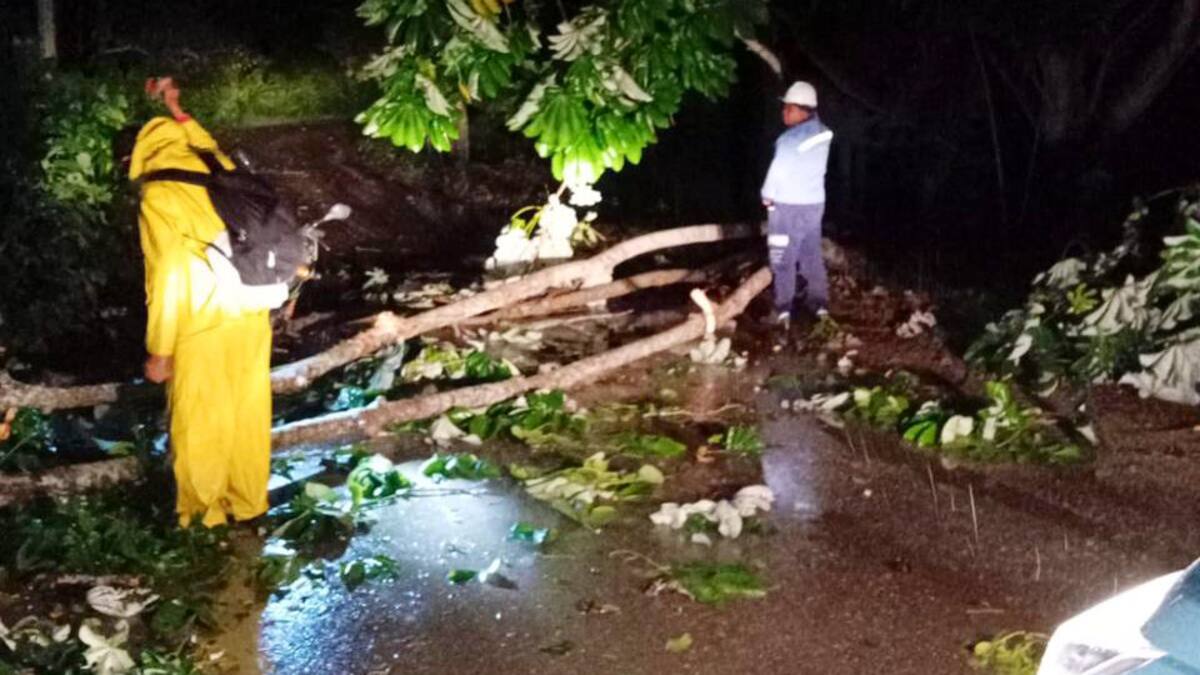 Vendaval en Sucre dejó una mujer herida, viviendas destechadas y municipios sin fluido eléctrico