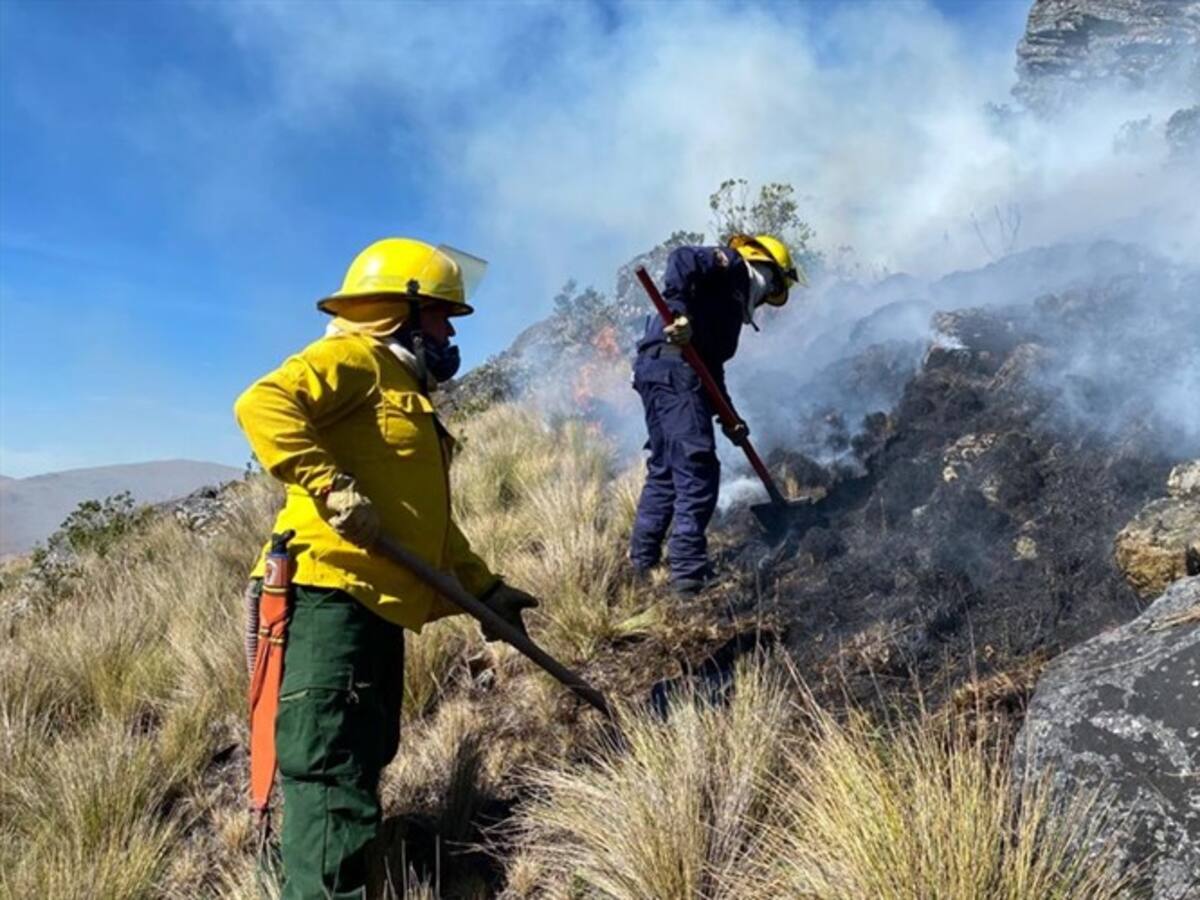 Cerca de 60 hectáreas afectadas por incendio forestal en zona rural de Sogamoso