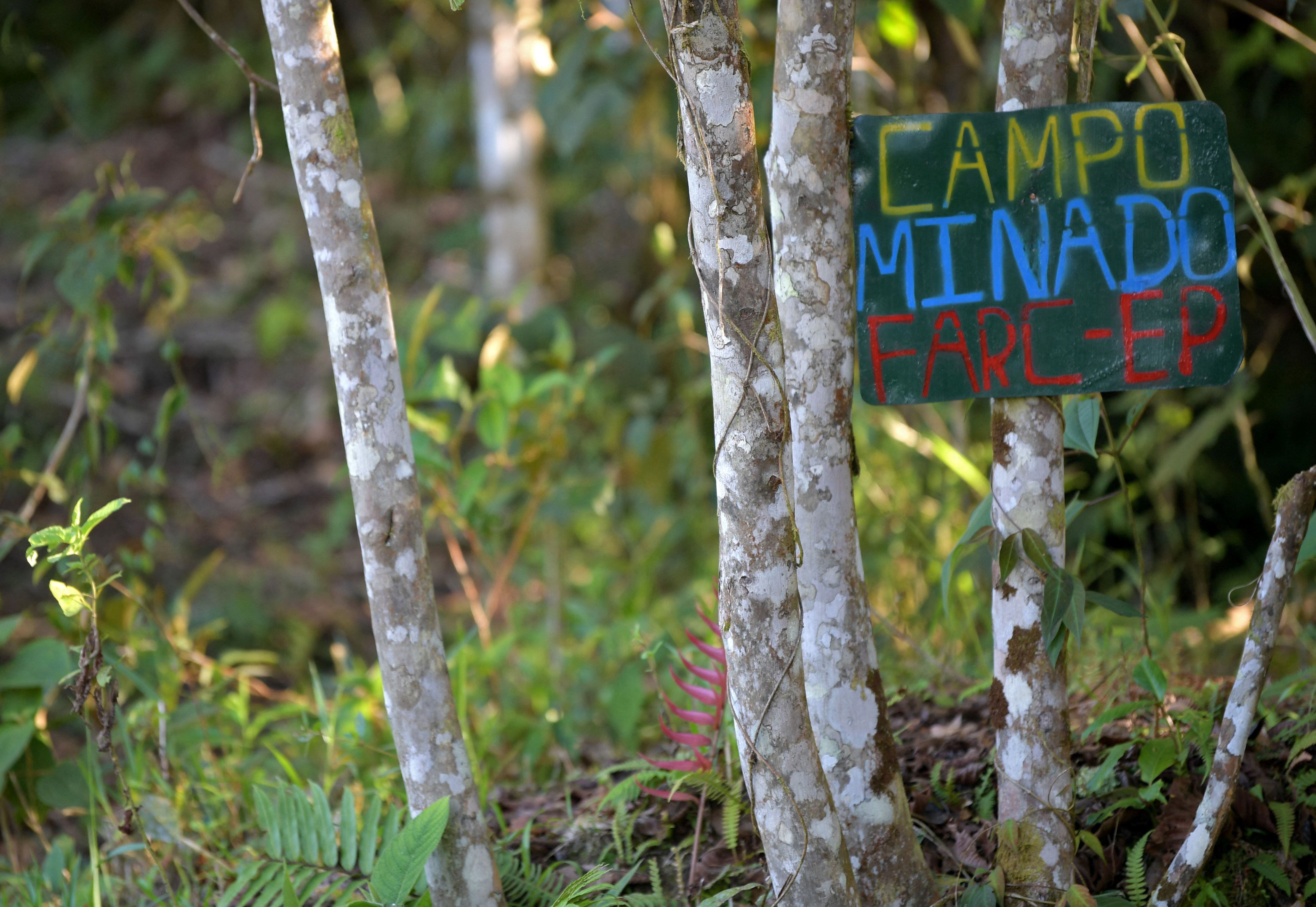 Capturados nueve integrantes de las disidencias de las Farc en medio de operativos de las Fuerzas Militares y la Fiscalía.