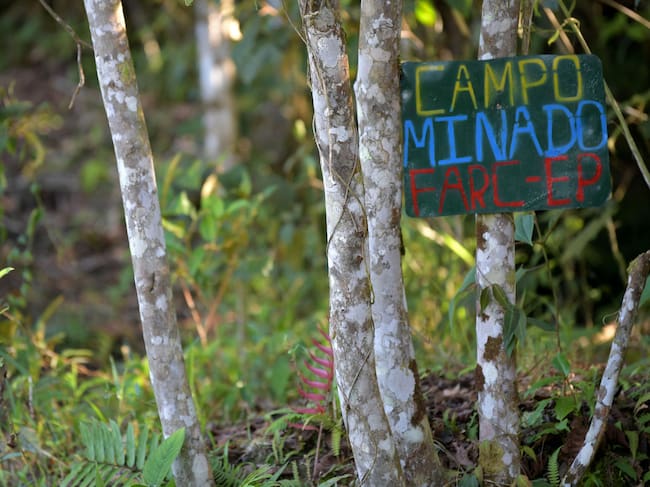 Capturados nueve integrantes de las disidencias de las Farc en medio de operativos de las Fuerzas Militares y la Fiscalía.