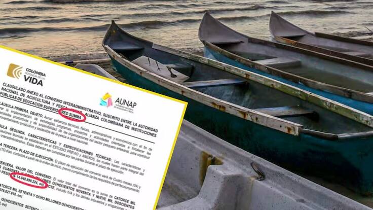 Por contrato de botes, Presidencia pide a investigar a la directora de la AUNAP