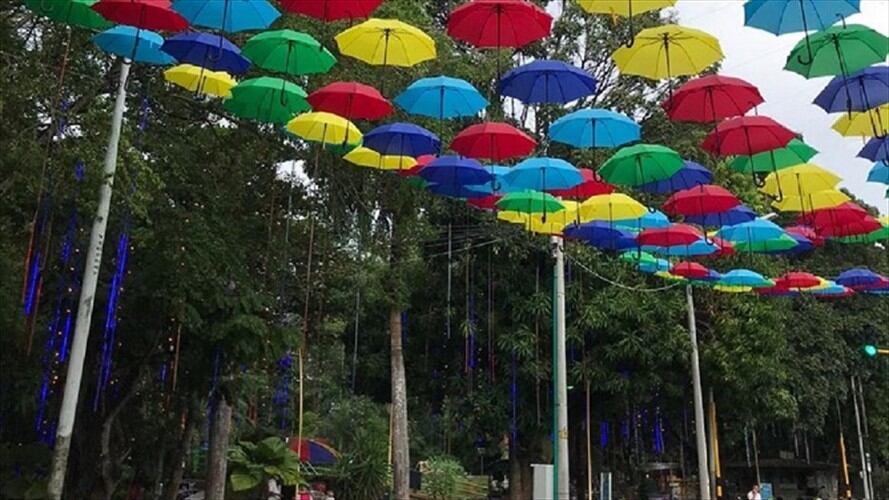 Estas son las medidas para que los monterianos puedan disfrutar del alumbrado navideño. Foto: Cortesía Elec S.A.