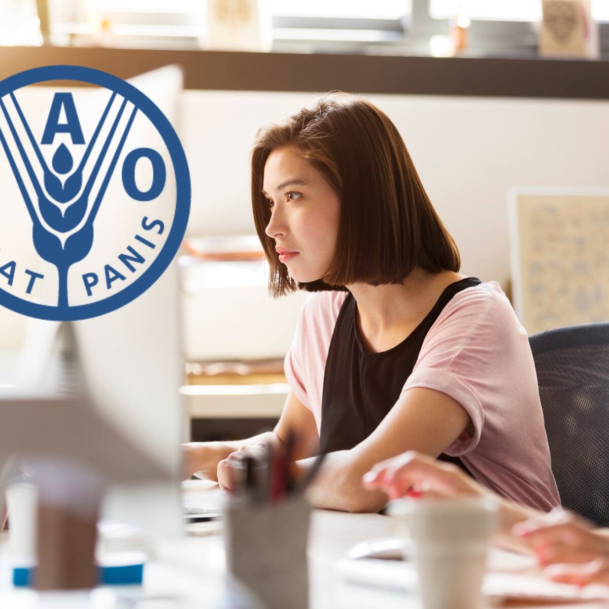 La FAO lanzó vacantes de empleo en Colombia: ofertas vigentes y requisitos para aplicar
