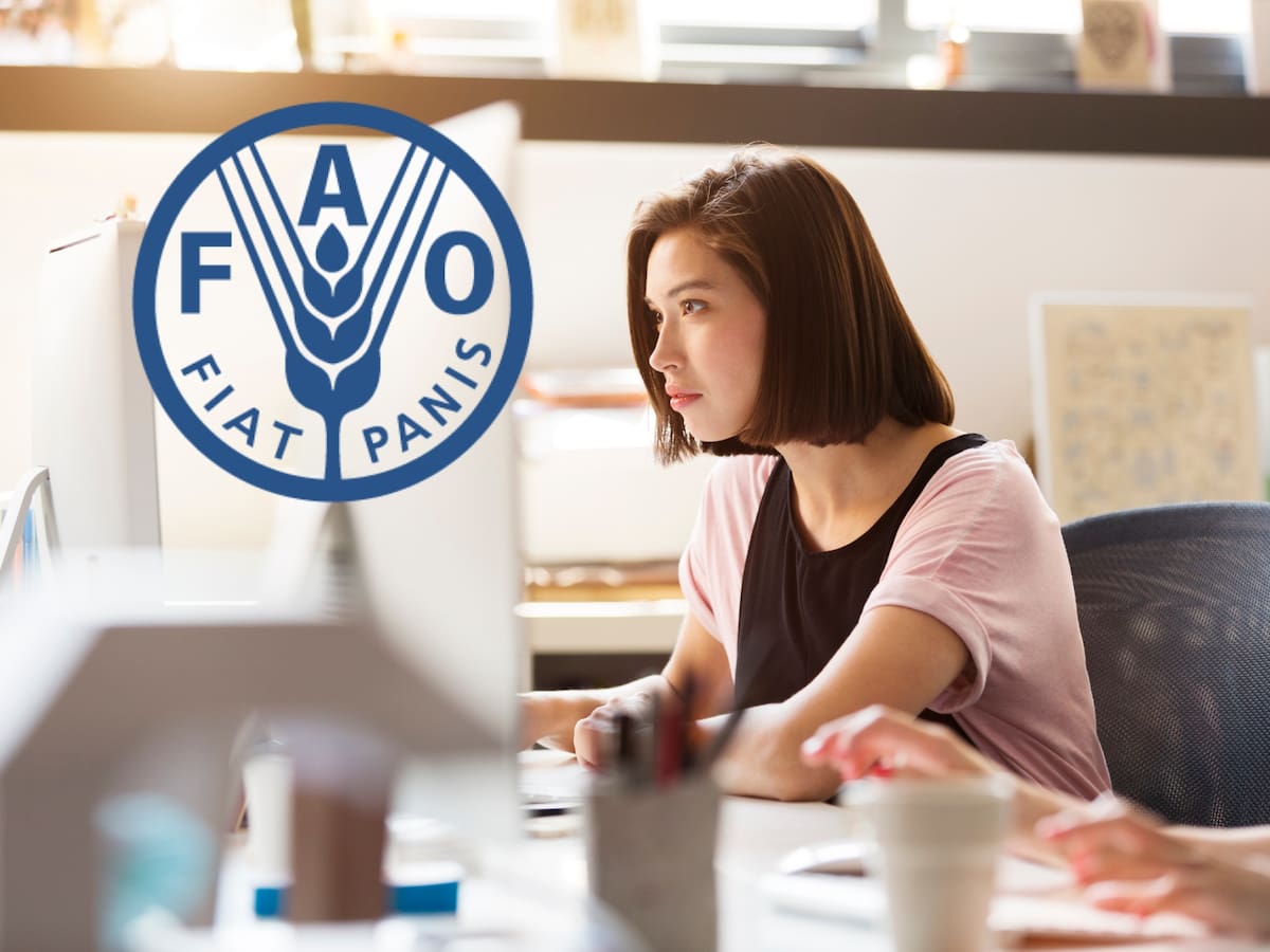 La FAO lanzó vacantes de empleo en Colombia: ofertas vigentes y requisitos para aplicar