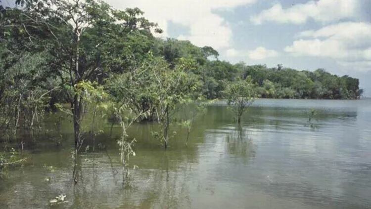Río Caquetá. Foto: Fundación Aquae