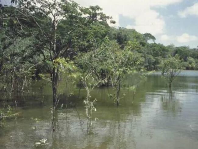 Río Caquetá. Foto: Fundación Aquae