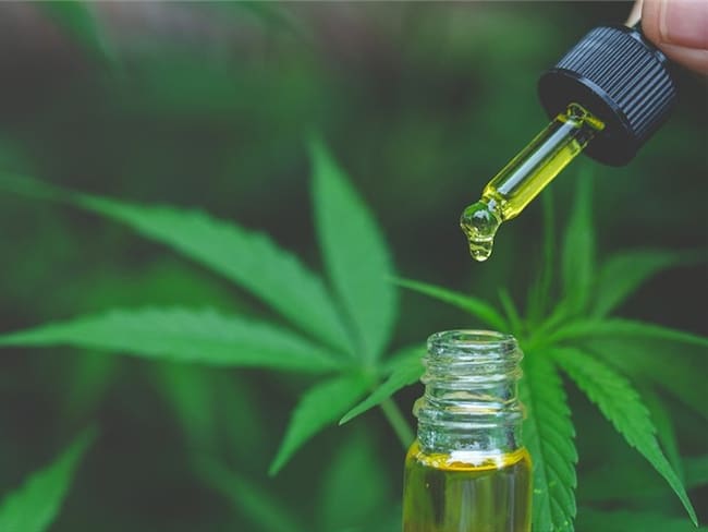 Compuestos del cannabis se muestran prometedores como tratamiento para el COVID-19