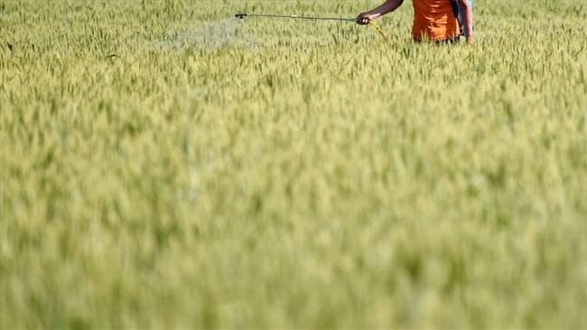 Cerca de 3.000 productores agropecuarios del país se verán beneficiados al año con la implementación de Inteligencia Artificial al proceso de análisis de suelos. . Foto: Getty Images