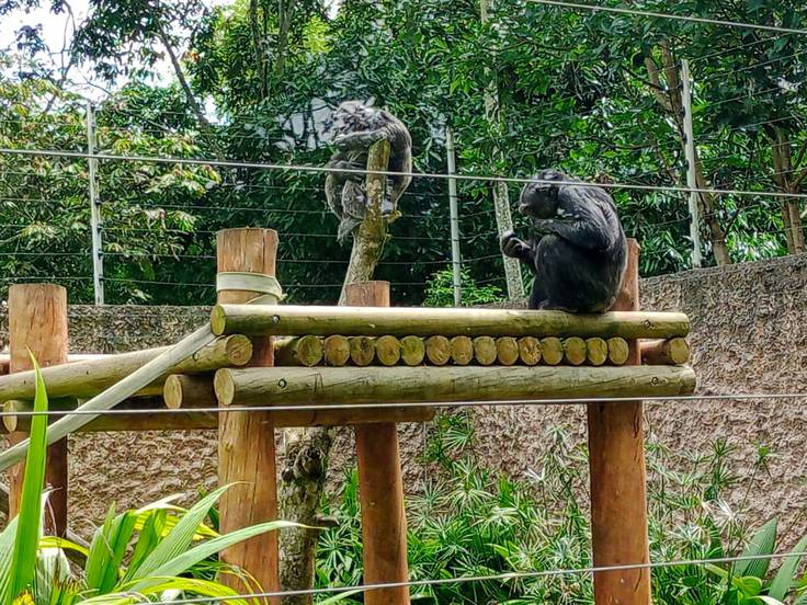 Foto: Archivo W Radio