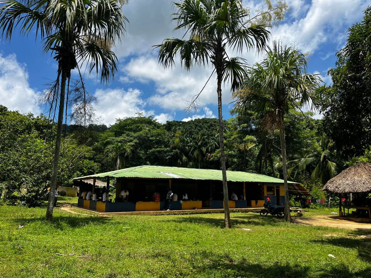 Cerca de 100 mujeres campesinas recibieron predios en dos municipios de Córdoba