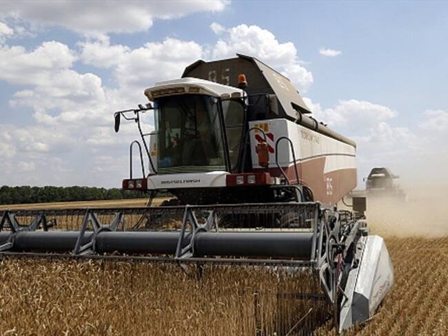 En firme normativa para importar maquinaria agrícola de segunda mano. Foto: Getty Images
