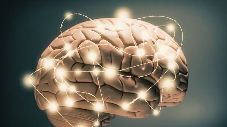 ¿Cómo tener un cerebro ideal? Neurólogo da algunos consejos para ejercitar la mente