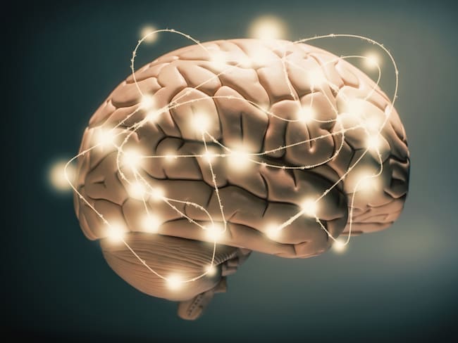 ¿Cómo tener un cerebro ideal? Neurólogo da algunos consejos para ejercitar la mente