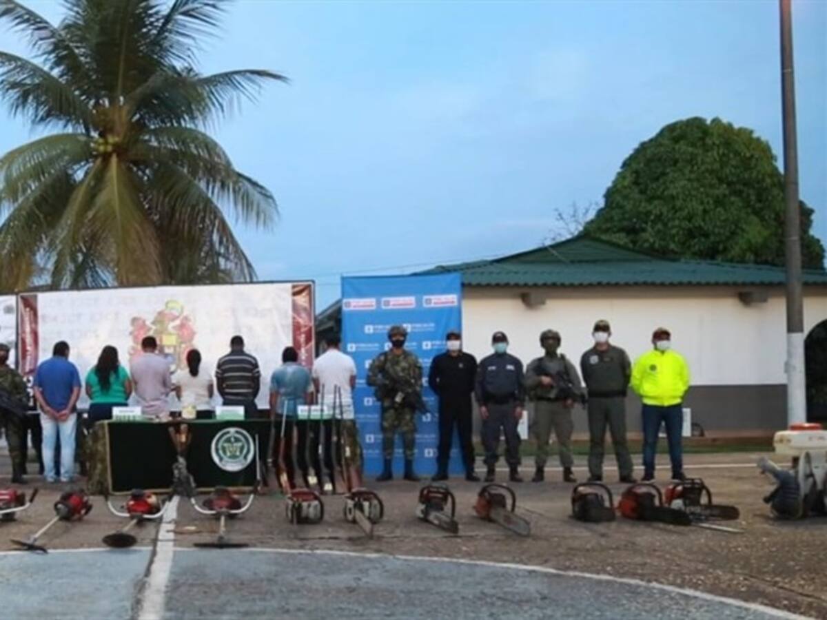 Seis personas capturadas por deforestar la selva amazónica