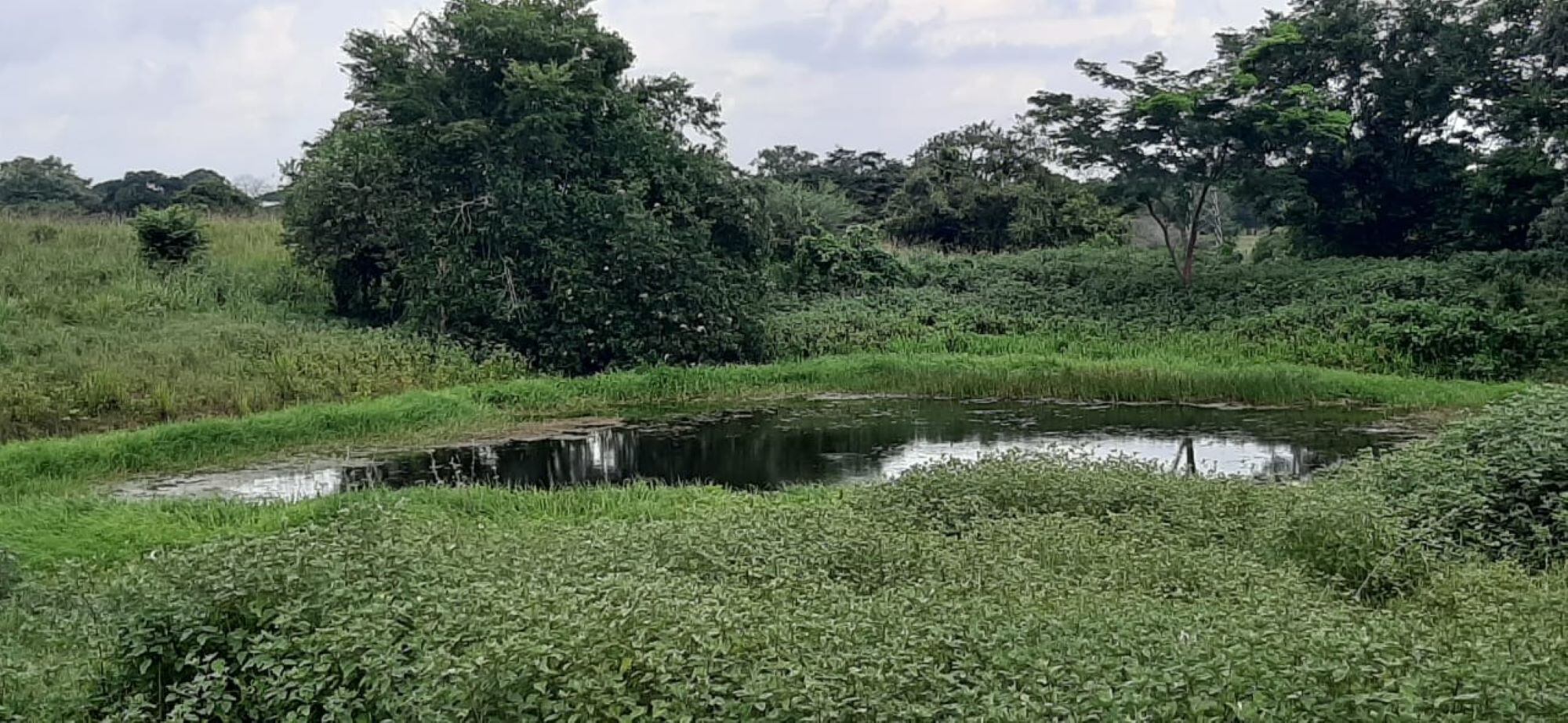 Desde este lugar es donde se abastecen de agua/ Jose Polo