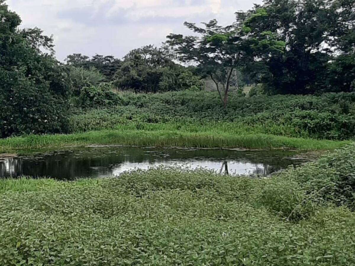 Comunidad de Salaminita, Magdalena se abastece de agua en un Jagüey
