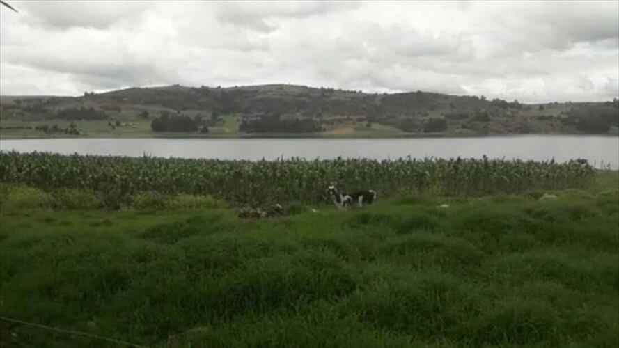 En los próximos meses se pueda registrar, algún tipo de imposibilidad de suministro de agua para 6.000 productores, según Germán Bermúdez.. Foto: La W