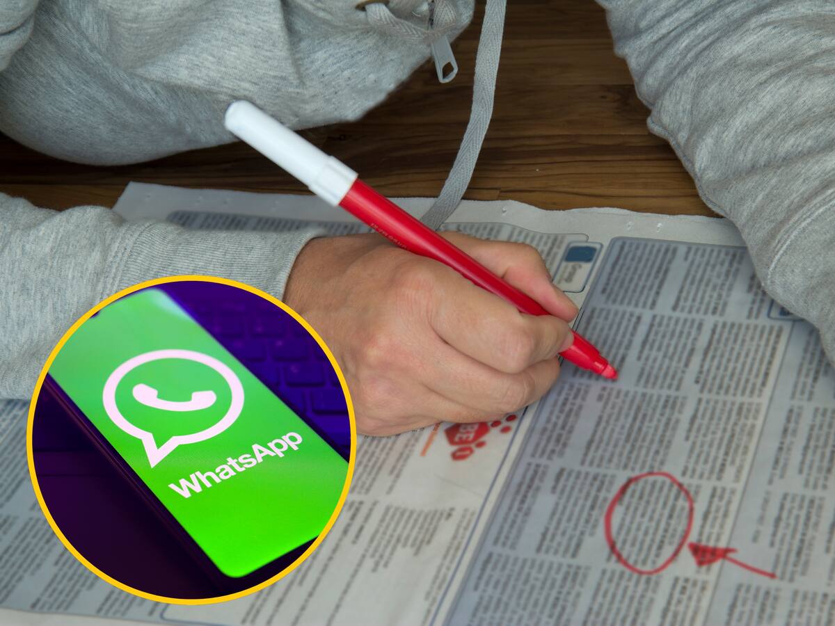 Trabajo en Bogotá: paso a paso para conocer las ofertas del Distrito por WhatsApp