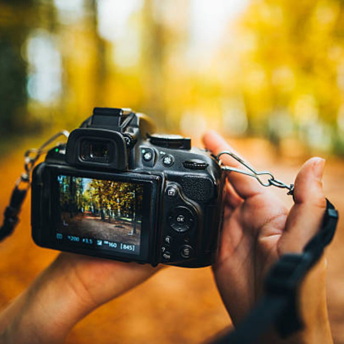 Santa Marta, lista para el Festival Internacional de Fotografía 2024
