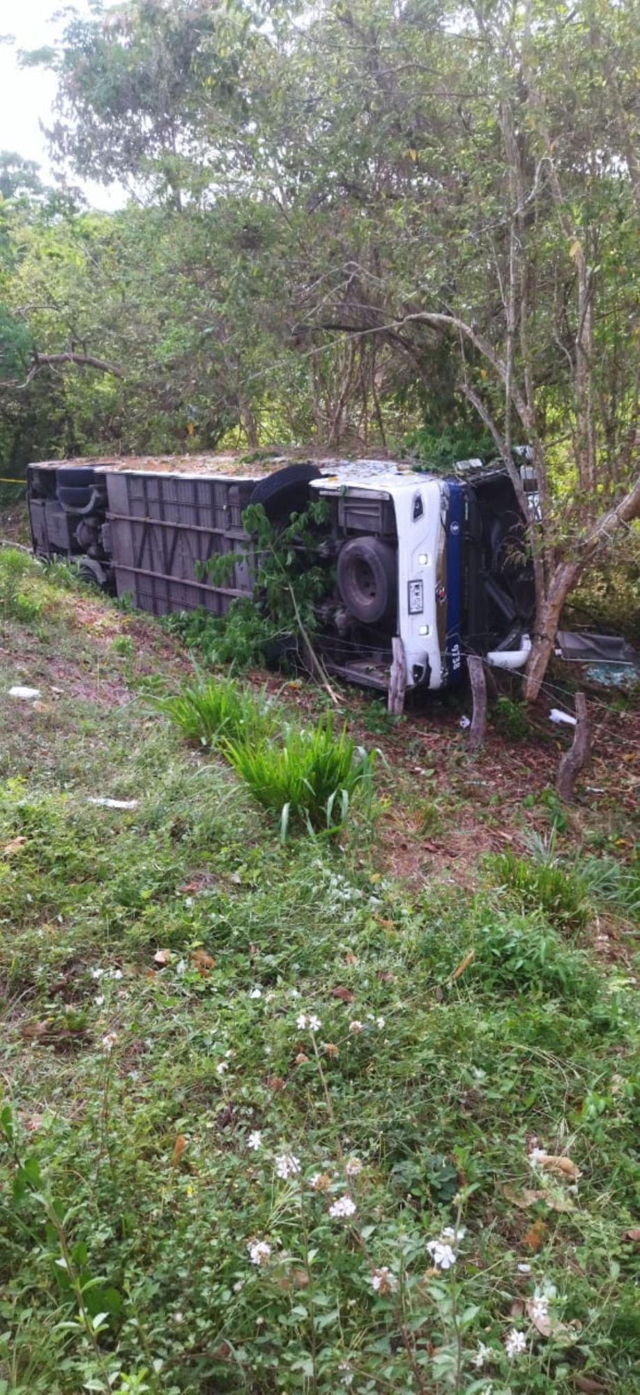 Accidente en la vía/ Wilder Álvarez
