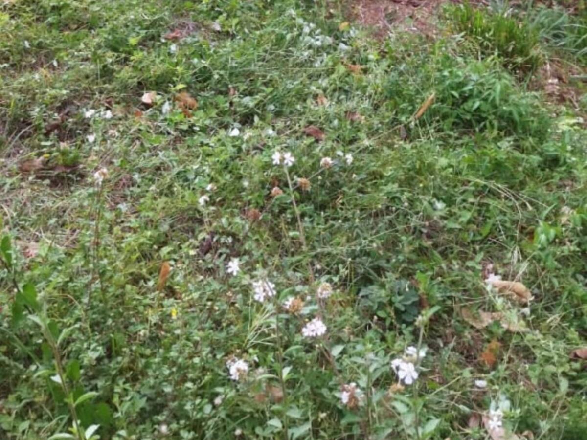 Accidente de bus interdepartamental en la vía al municipio de Santa Ana, Magdalena