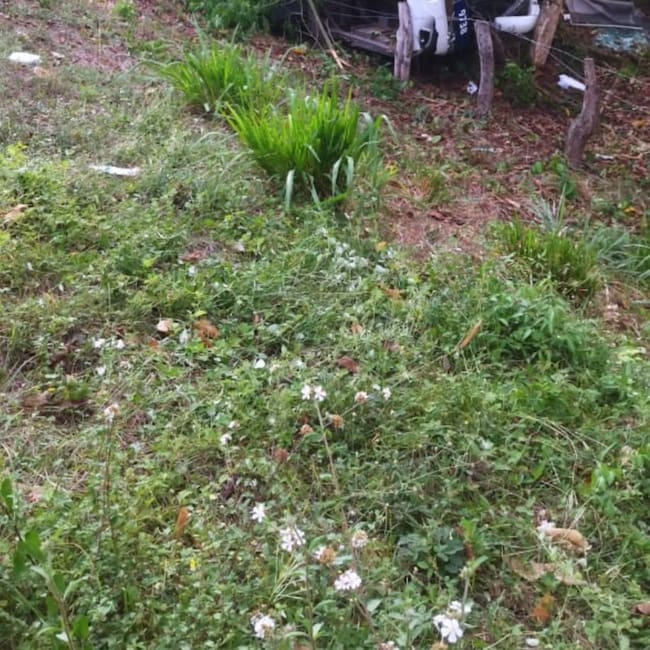 Accidente en la vía/ Wilder Álvarez