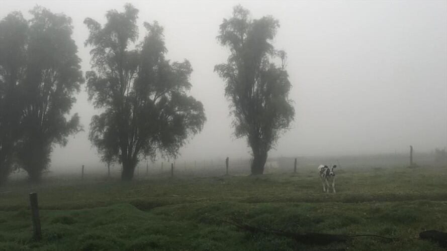 Se adelantó una reunión con los alcaldes de los 27 municipios afectados.. Foto: W