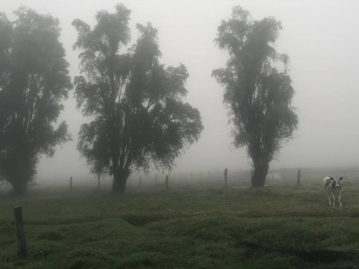 Nuevo balance por temporada de heladas deja 23.000 hectáreas afectadas en Boyacá