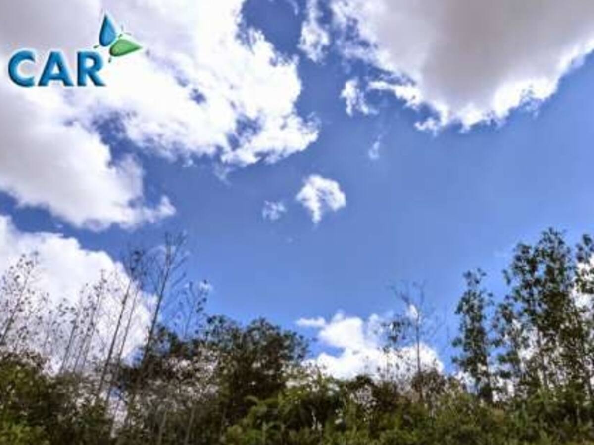 CAR aún no decide el futuro de floricultores en la reserva Van Der Hammen