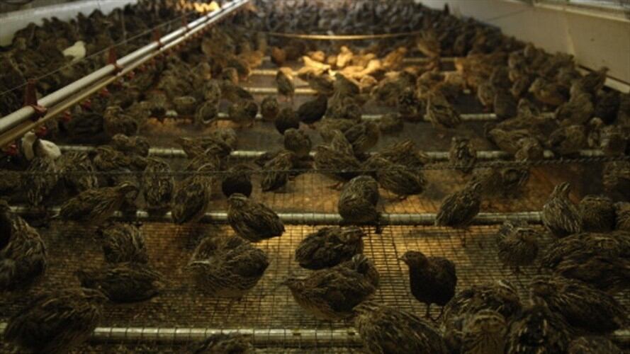 Imagen de referencia. Foto: Getty Images