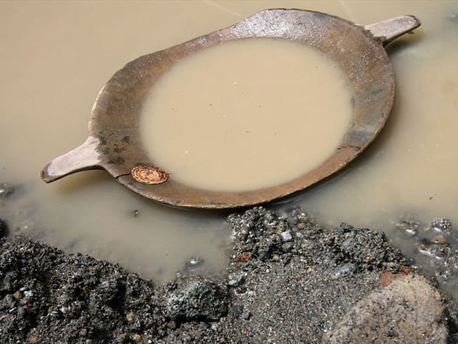 Concurso de innovación ambiental para la Amazonía ofrece premios de USD 1 millón