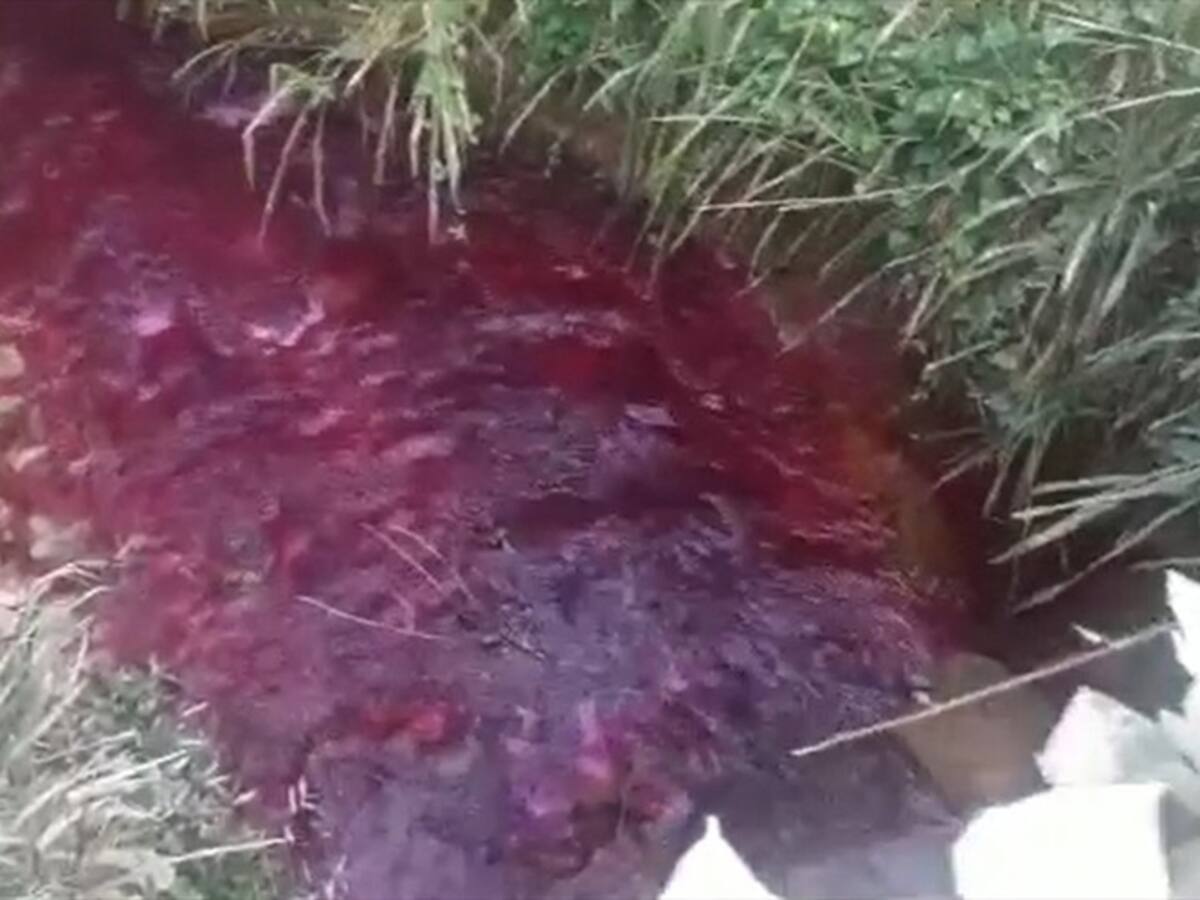 Denuncian alta contaminación de un río por minería ilegal en Cauca