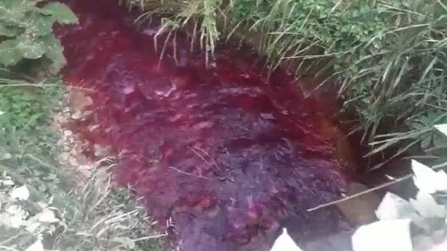 La Corporación Autónoma Regional del Cauca, CRC, anunció estudios en la quebrada afectada. Foto: Cortesía