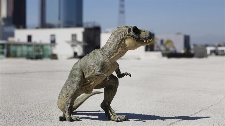 Imagen de referencia. Foto: Getty Images