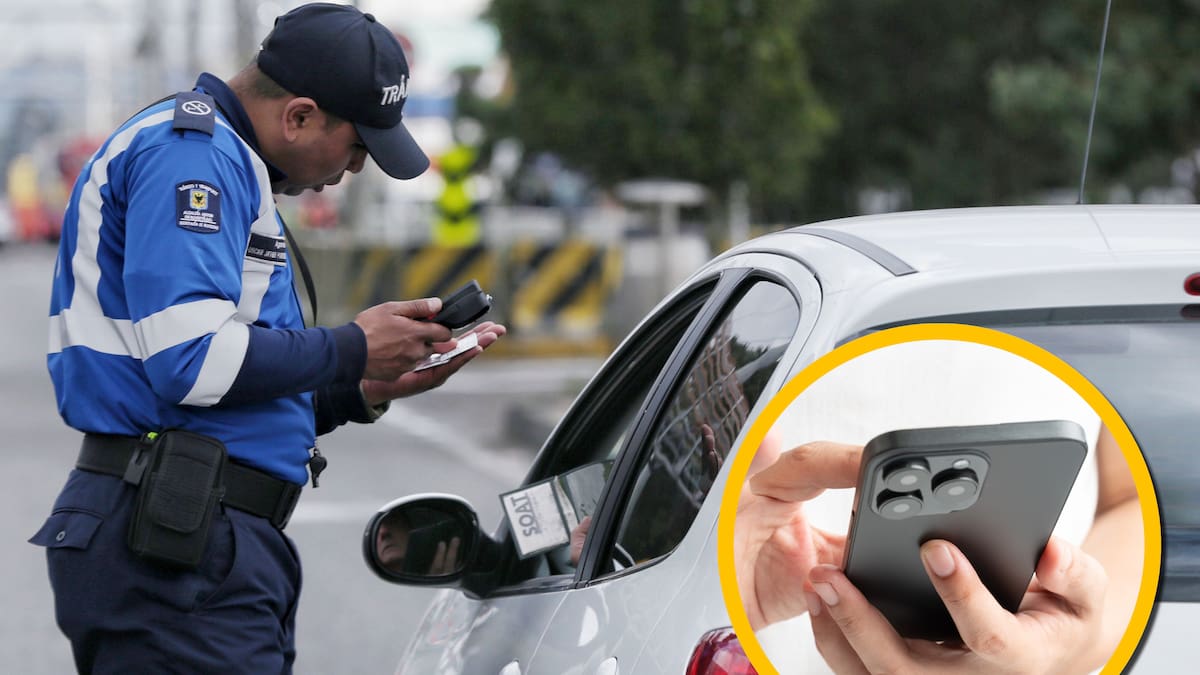 ¿Qué hacer si un agente de tránsito pide revisar su celular? Únicos casos en que estaría permitido