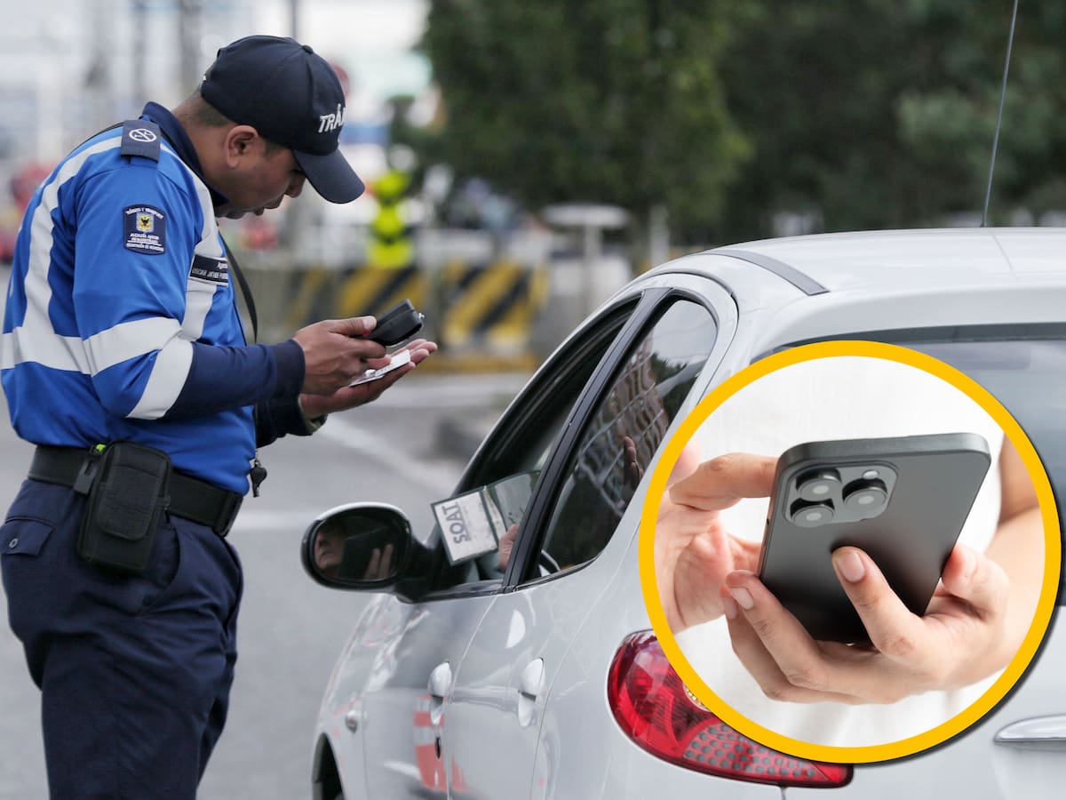¿Qué hacer si un agente de tránsito pide revisar su celular? Únicos casos en que estaría permitido